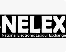 www.nelexnigeria.com NELEX Portal Login 2023 for FG Jobs